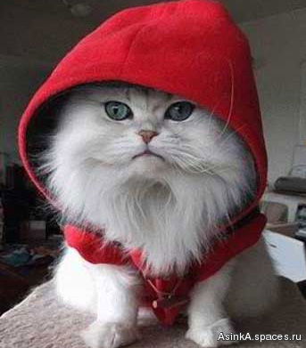 Андрей Иванов