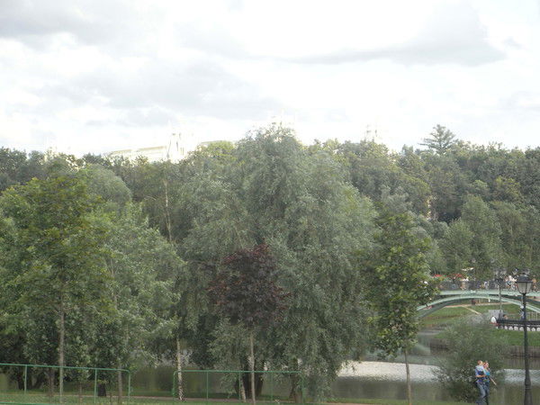 Светлана Кириллова