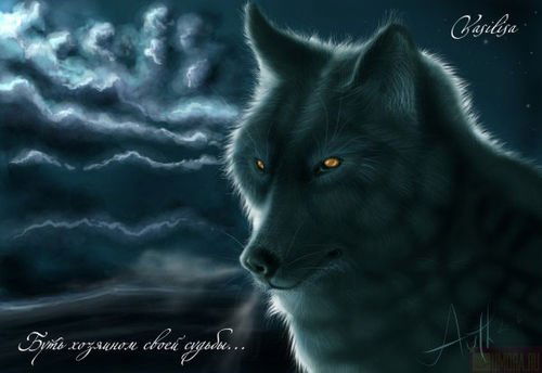 Вика Жукова