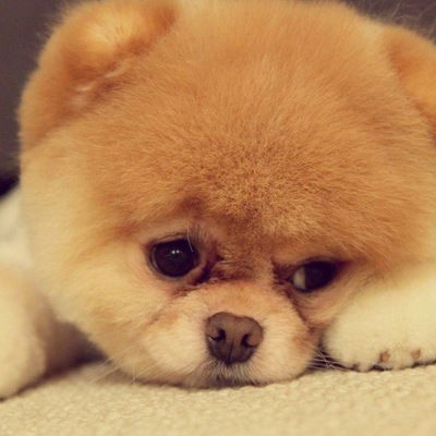 Анна Маренич