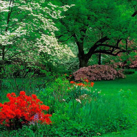 Елжас Абдраимов™