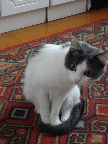 Ольга Медведева