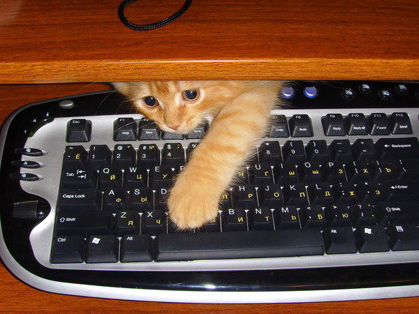 Екатерина Галайчук