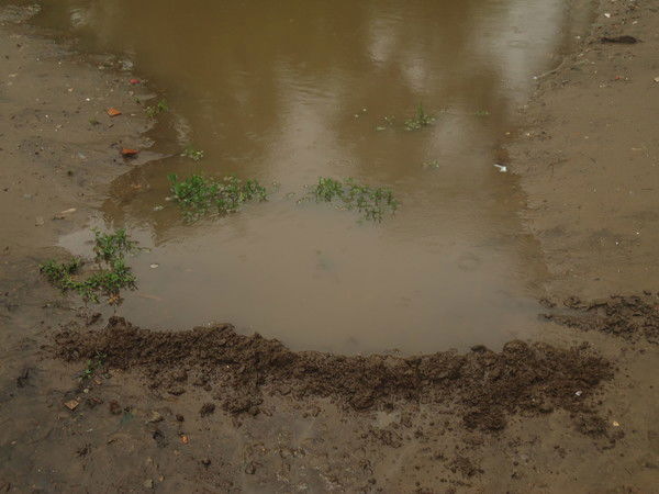 Алексей Электрик