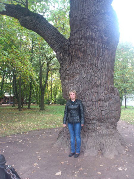 Анна Дмитриева