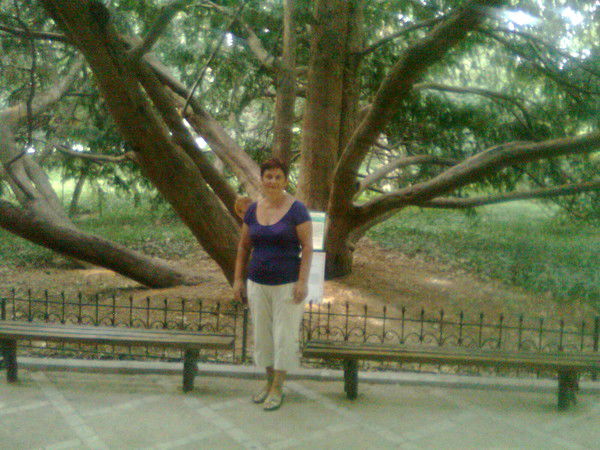 Светлана Оселедец