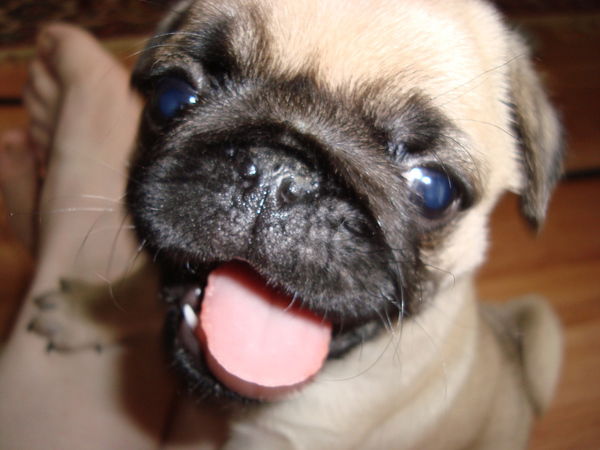 Марина Дмитриева