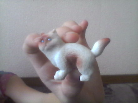 Куратор Чай На