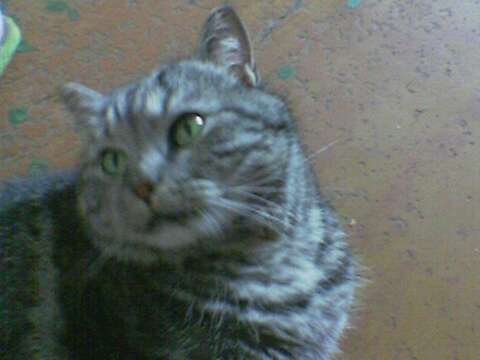 Данила Малинин