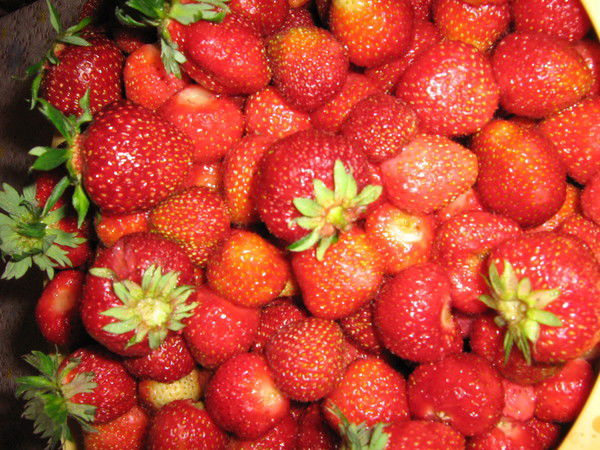 Наталия Шнайдер