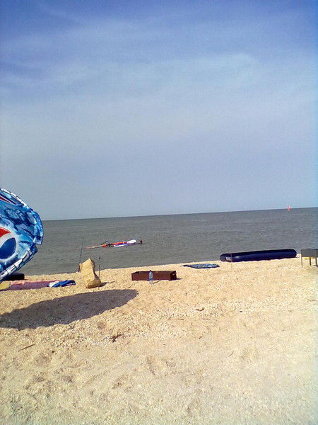 Михаил Цветков