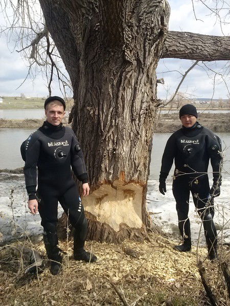 Евгений Путинцев