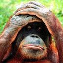 Владимир Иванов