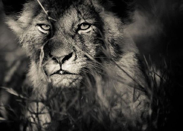 Серёга Литвинов