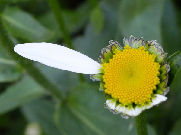 Ирина /матвеева/