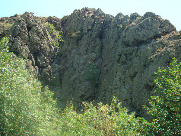 Нина Ершова