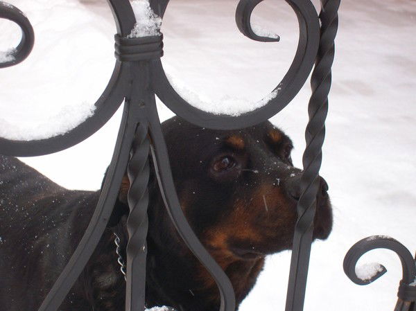 Николай Раиса Каплины