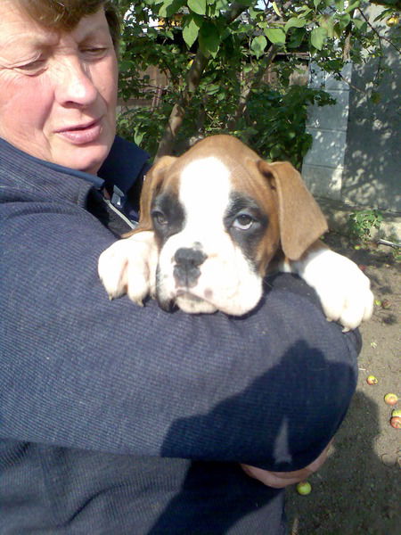 Надежда Берсенева