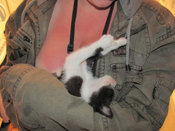 Мария Цветкова