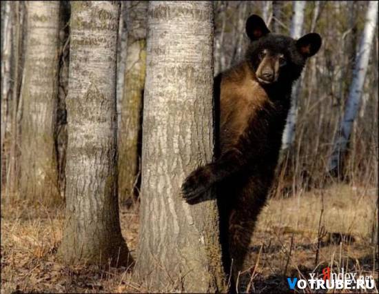 Данияр Абдрахманов