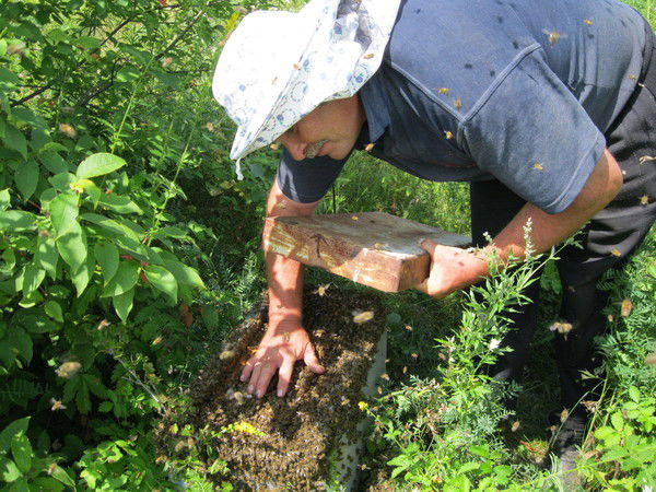 Роман Алтамиров