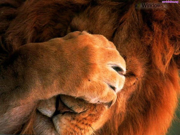 Геннадий Сбитнев