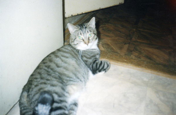 Ольга Наумова