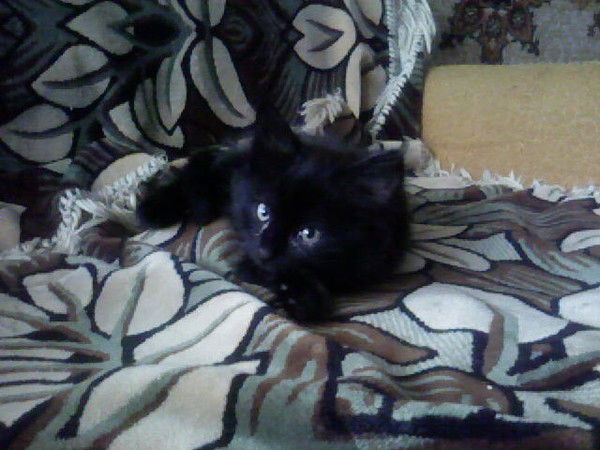 Владимир Захаренко