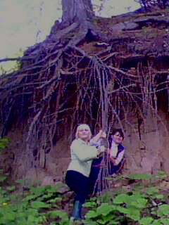 Евгения Крещенович