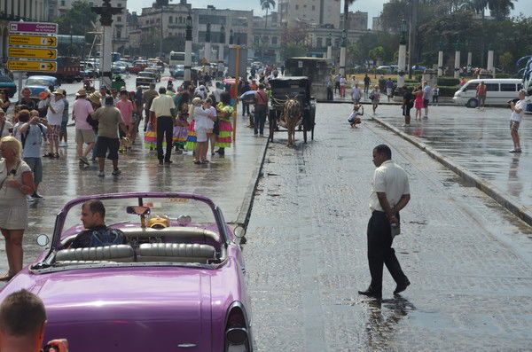 Владимир Воеводин