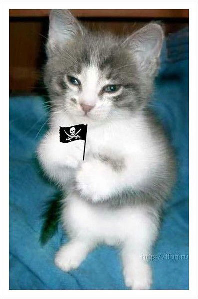 Василий Сапрошин