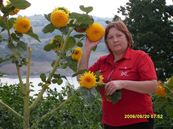 Ирина Дорофеева