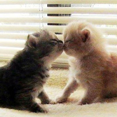 Валерия Шумилова