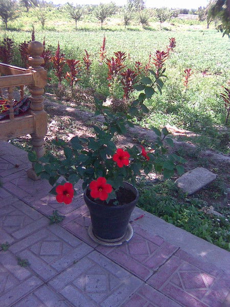 Фахридин Норматов