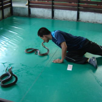 Владимир Генинг