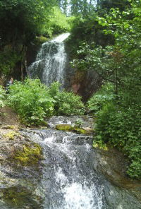 Андрей Петров