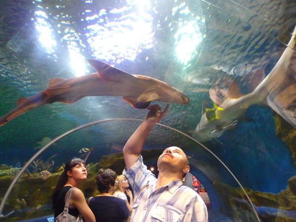 Алексей Климин