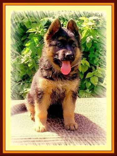 Екатерина Логинова