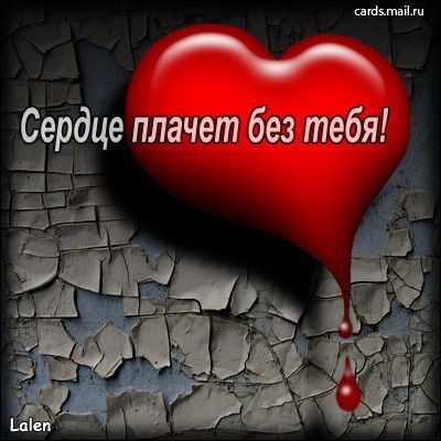 Светлана Соколова