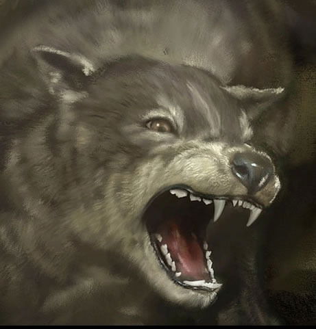 Денис Иванов