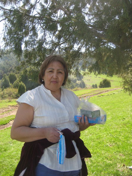 Сауле Чикенова