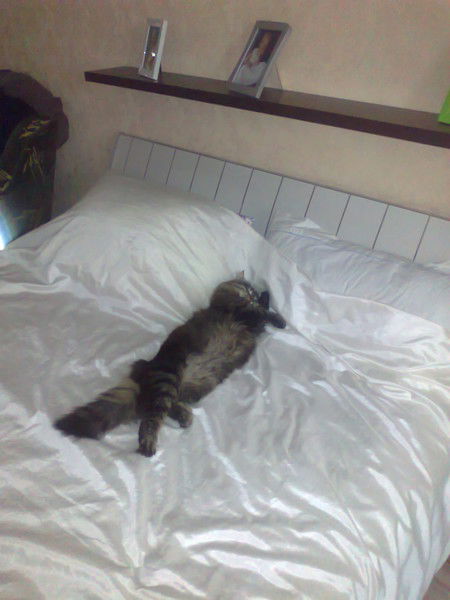 Вячеслав Павлюк