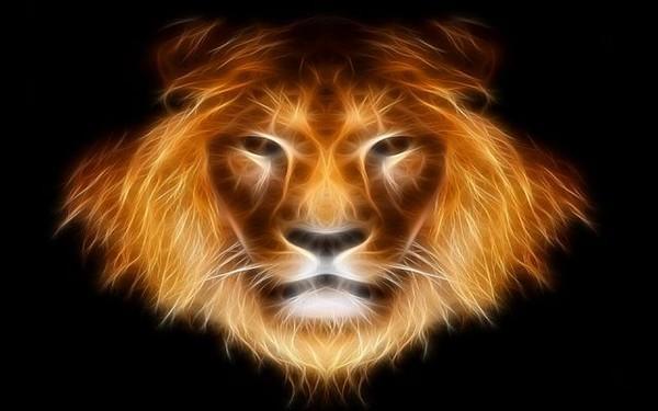 Flame Lion