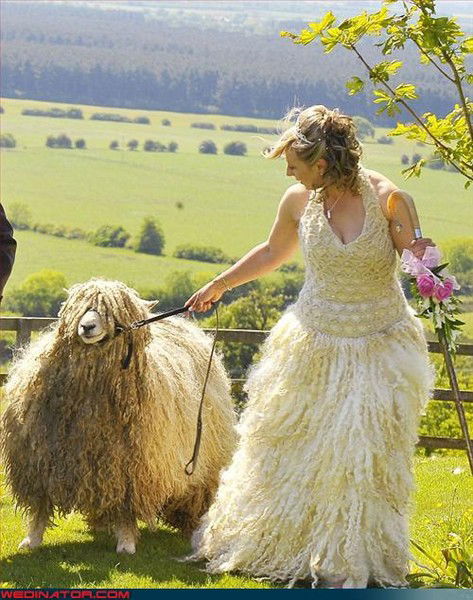 Ольга Готовцева