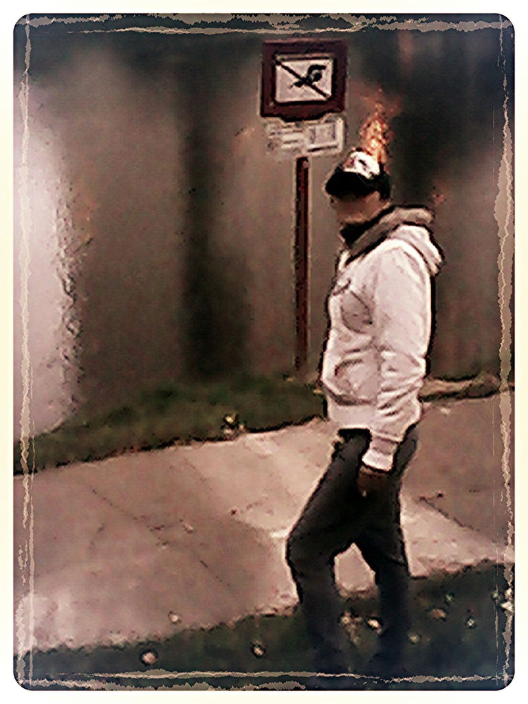 Елена Миталева