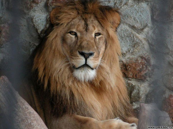 Руслан Жумалдин