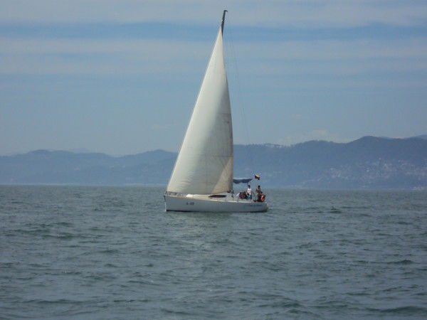 Владимир Рябцев