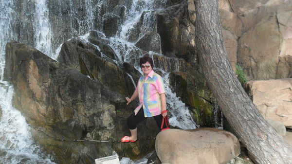 Елена Бровина