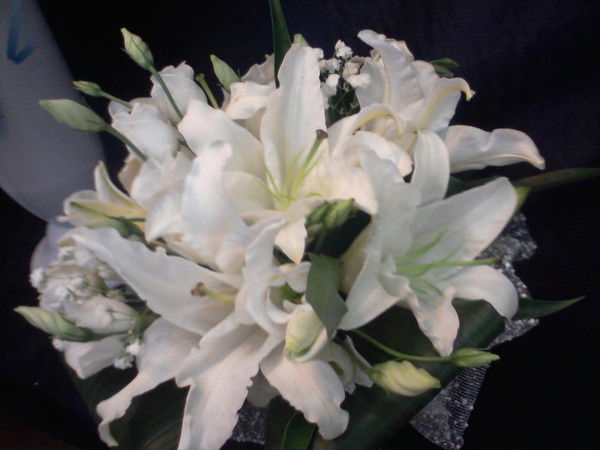 Фотосалон Гамма