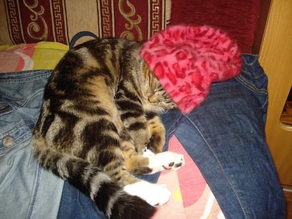 Андрей Стукас